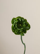 Cloni Success Green Alcachofo