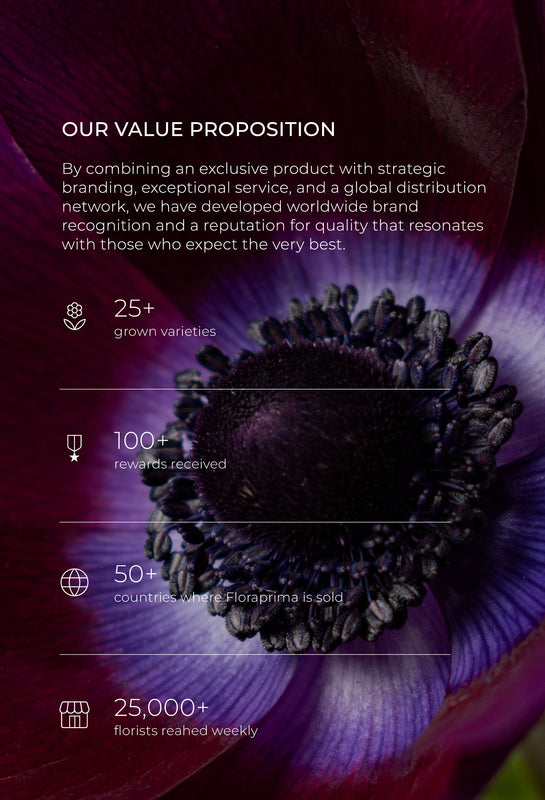 Floraprima-About-Our-Value-Proposition-Banner-Anemones-Ranunculus-Varieties