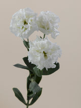 Alissa Pure White
