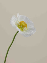 Poppy Bianco